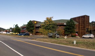 Conifer, CO Office/Retail, Flex - 25797 Conifer Rd