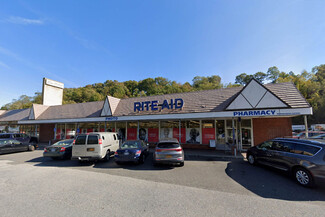 Oyster Bay, NY Retail - 247-295 Pine Hollow Rd