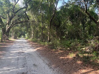 Webster, FL Agricultural Land - County Road 738 Webster, FL Agricultural Land - County Road 738