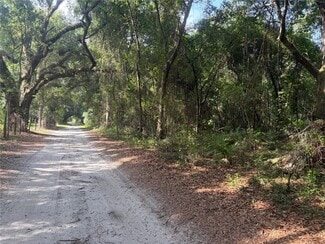 Webster, FL Agricultural - County Road 738 Webster, FL Agricultural - County Road 738