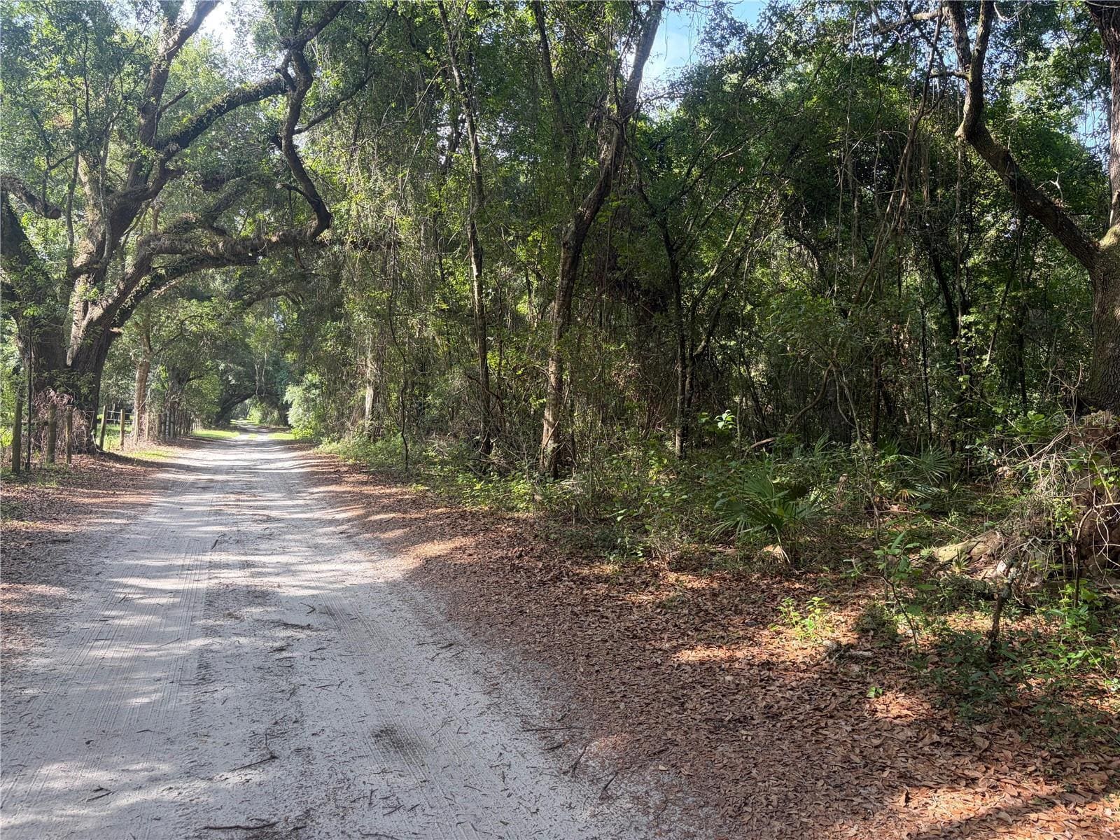 County Road 738, Webster, FL for Sale