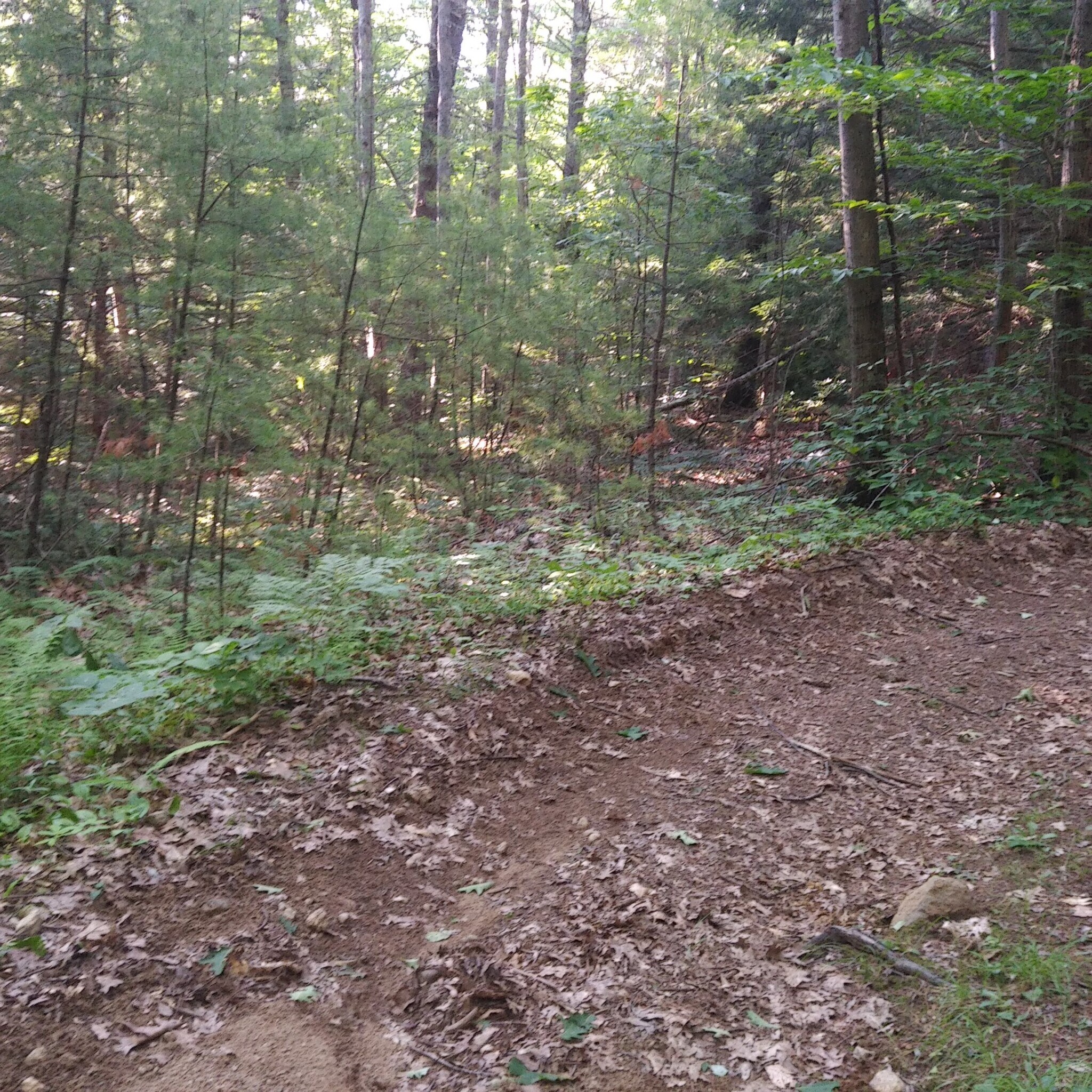 6 Lombard Rd Hubbardston, MA 01452 Land Property for Lease on