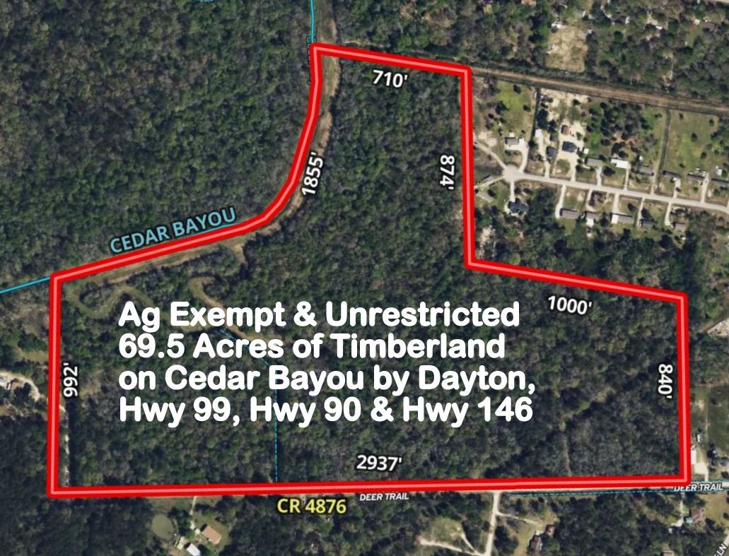 0 County Road 4876, Dayton, TX for Sale