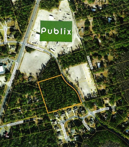 Songbird Avenue, Crawfordville, FL for Sale