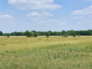 Scurry, TX Agricultural - 12053 S State Hwy 34