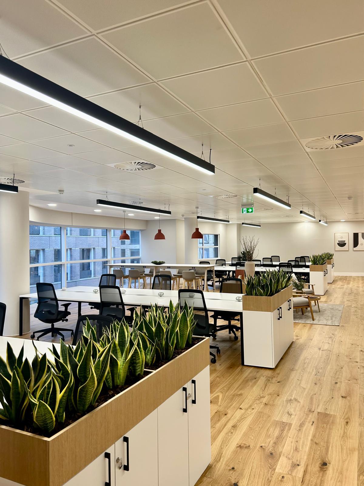 4 Tenterden St, London, LND for Rent