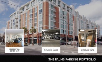The Palms Parking Portfolio