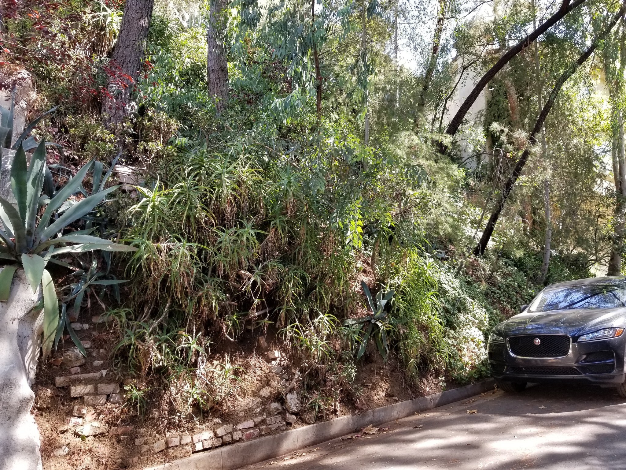 10059 Reevesbury Dr Beverly Hills, CA 90210 Land Property for Lease