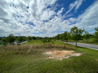 Tallahassee, FL Commercial - 0 Lagniappe way