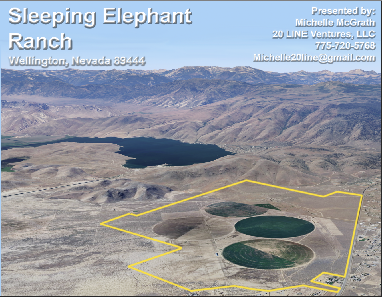 0 US Highway 208, Wellington, NV for Sale