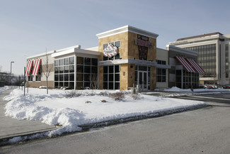 Rosemont, IL Retail - 9651 W Higgins Rd