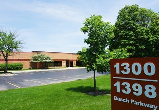 Buffalo Grove, IL Flex, Industrial - 1300-1398 Busch Pky