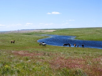 Scenic, SD Agricultural - 24900 Spring Draw Rd