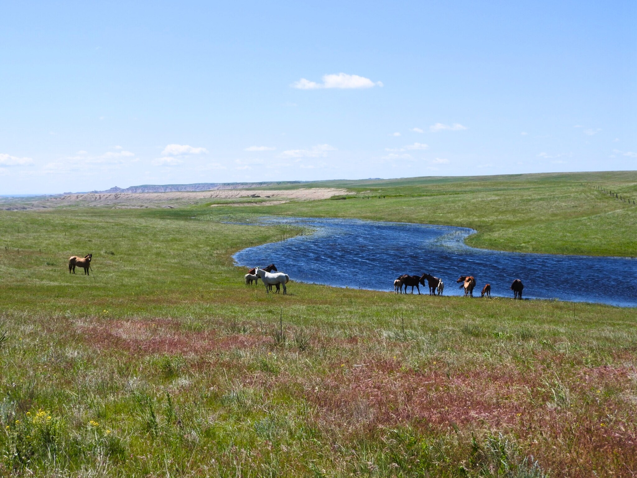 24900 Spring Draw Rd, Scenic, SD for Sale