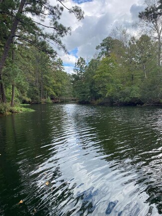 Goodrich, TX Commercial Land - 248 WOODSY Holw Goodrich, TX Commercial Land - 248 WOODSY Holw