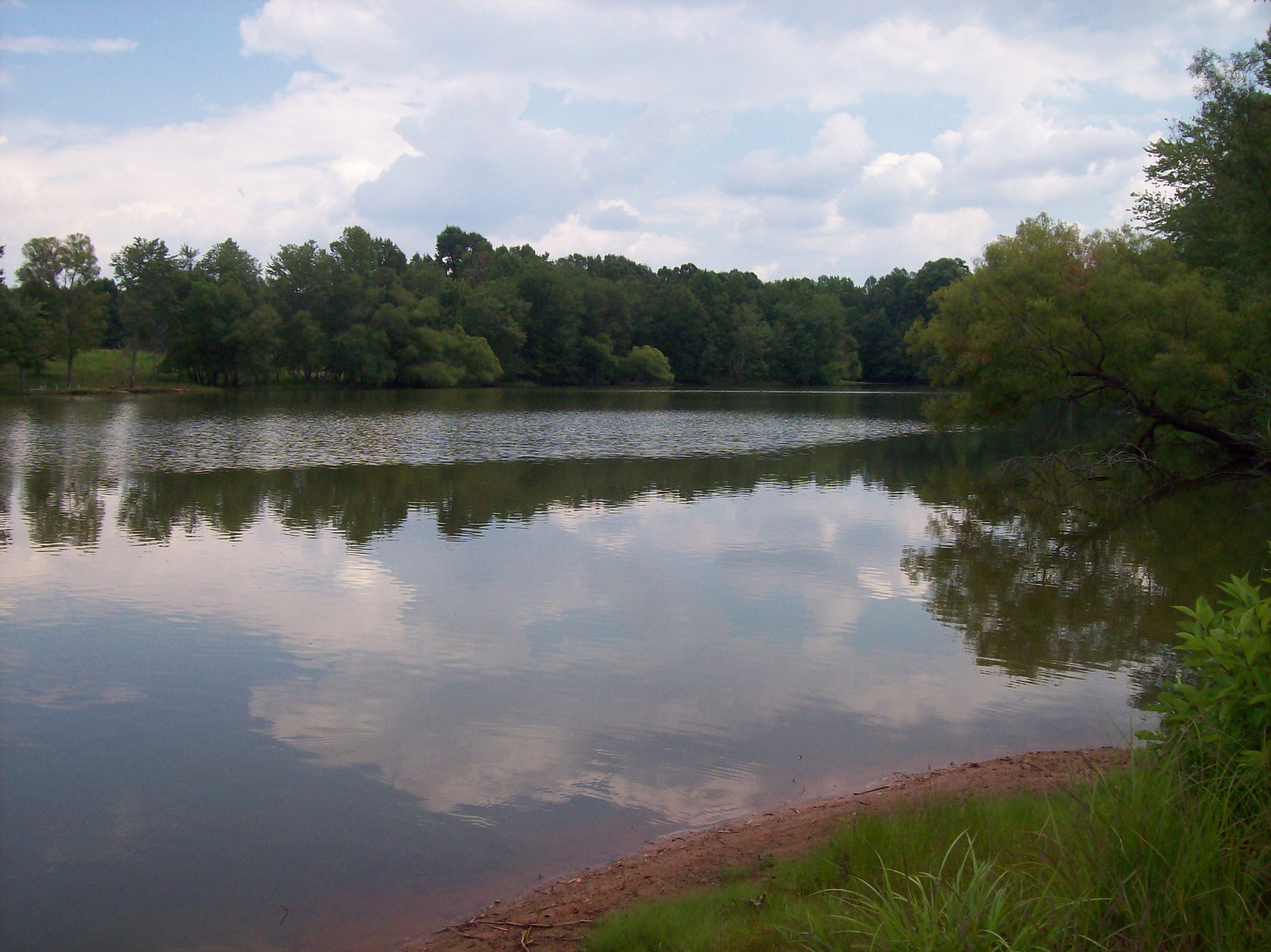 Camp Creek Rd, Lancaster, SC for Sale