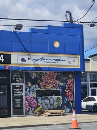 Albertson, NY Office/Retail - 1079-1083 Willis Ave