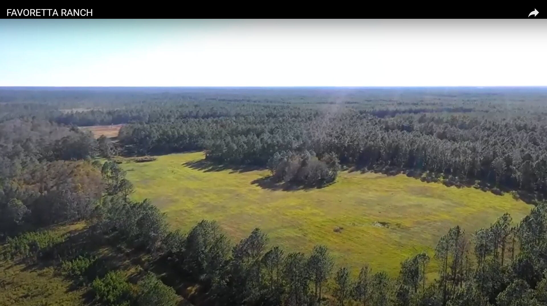 0 Favoretta (County 200) Rd, Bunnell, FL for Sale