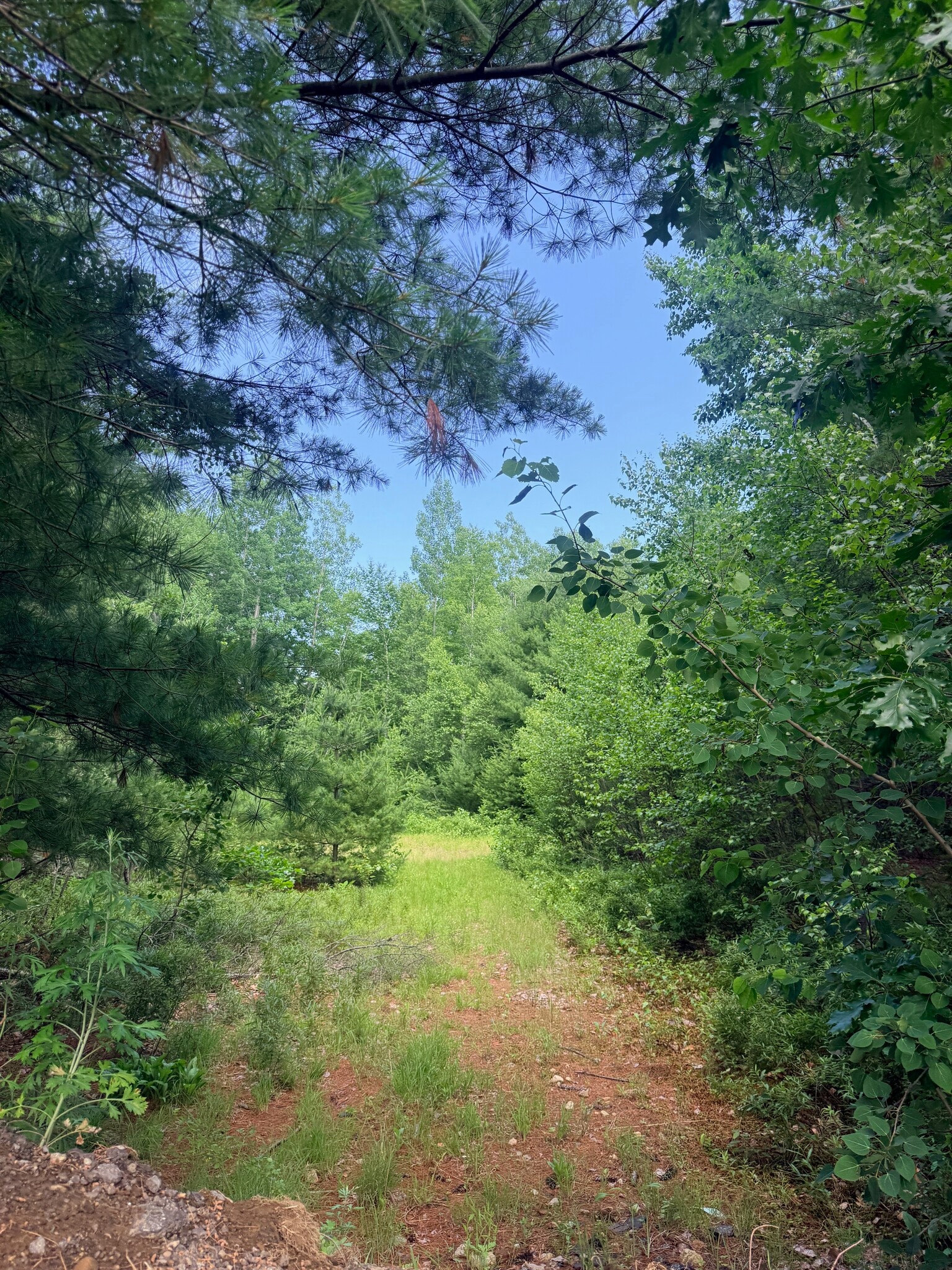 36 Old County rd, Plaistow, NH for Sale