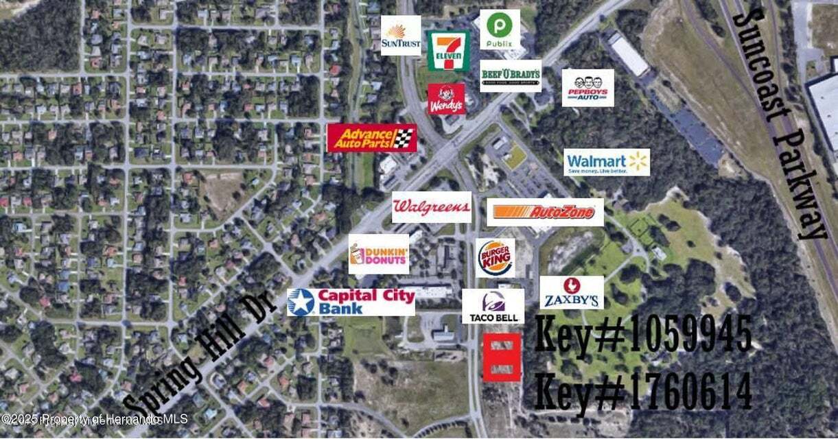 0 Anderson Snow Rd, Spring Hill, FL for Sale
