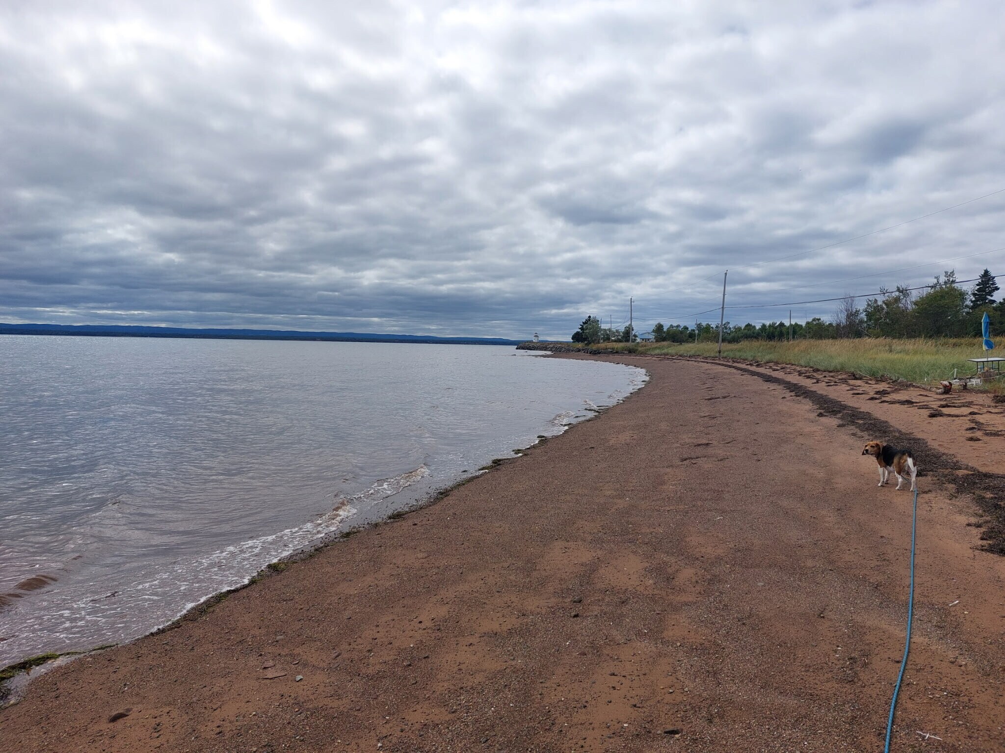 3883 Malagash Road, Wallace Grant, NS for Sale