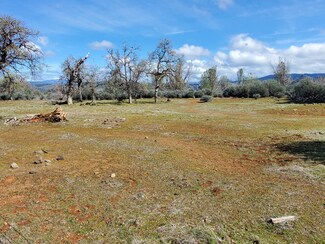 Paynes Creek, CA Agricultural - 15-One NE Ranch Rd