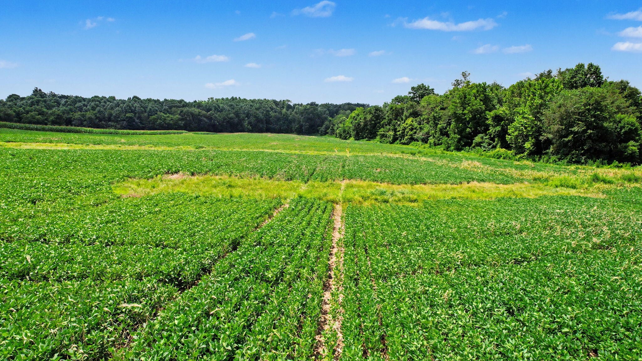 0 Coffman Rd, Borden, IN for Sale