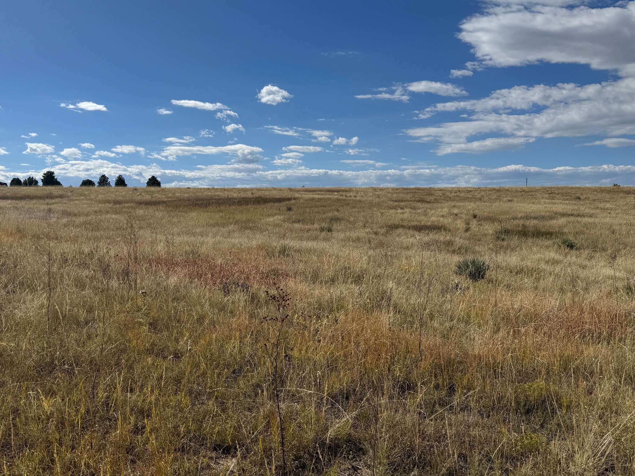 1291 Lisbon Dr, Parker, CO for Sale