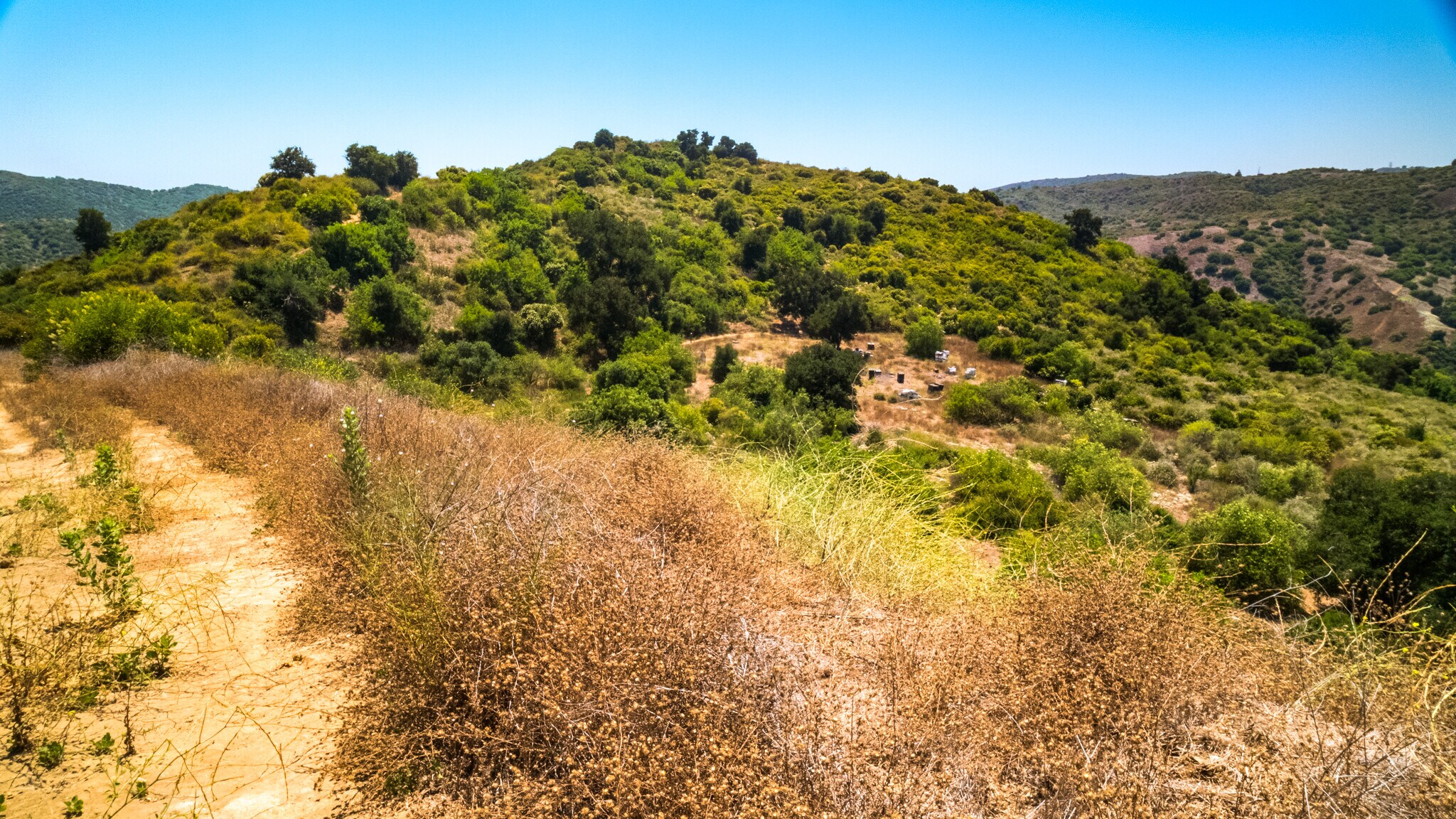 7099 E. Carbon Canyon Rd, Brea, CA for Sale