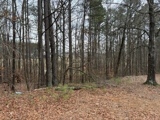 Lithia Springs, GA Commercial - 0 Preston Blvd
