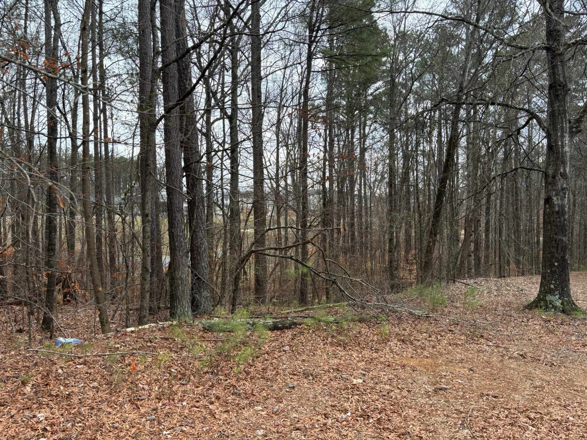 0 Preston Blvd, Lithia Springs, GA for Sale