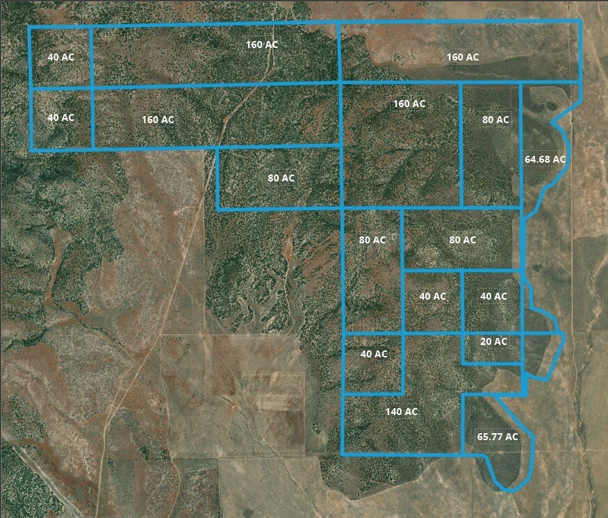 Dog Valley Ranch, Levan, UT for Sale