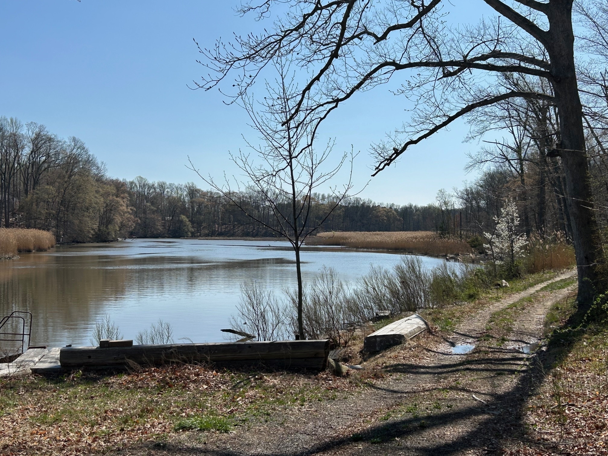 556 Union Church Rd, Townsend, DE for Sale