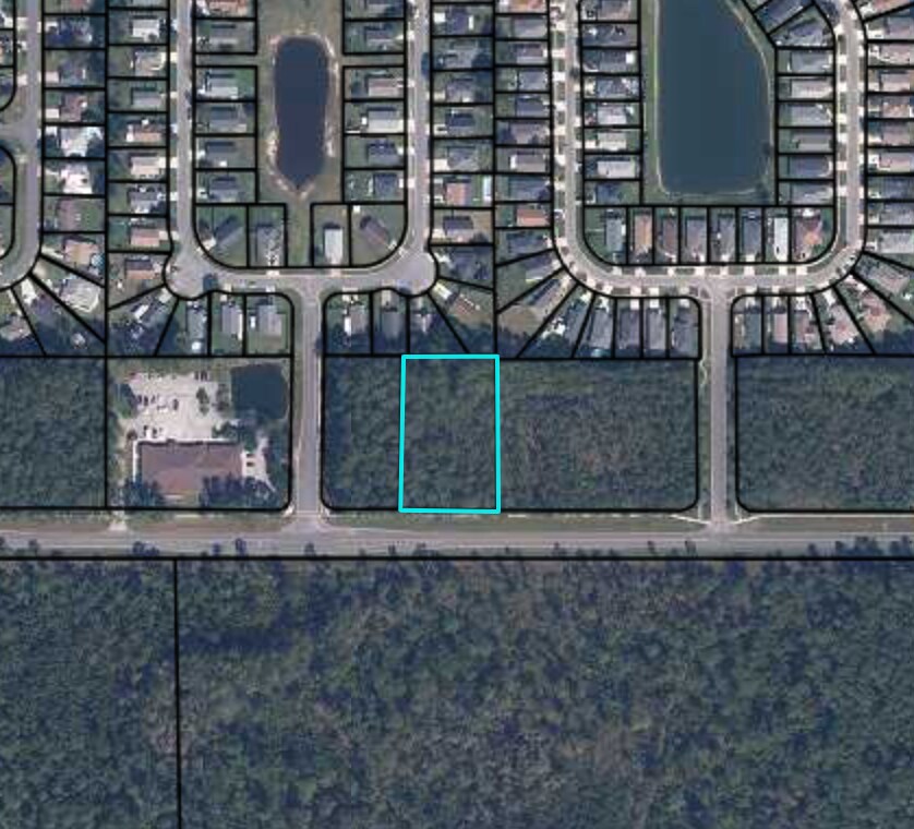 County Road 220, Middleburg, FL for Sale