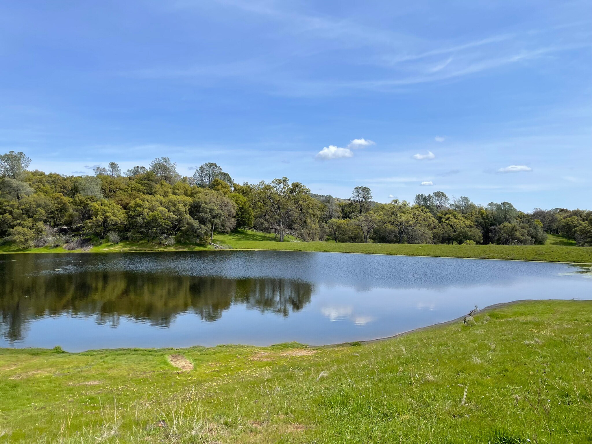 5877 State 49 hwy, Mariposa, CA for Sale