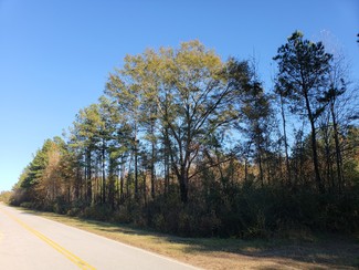 Latta, SC Commercial - Old Stage Rd