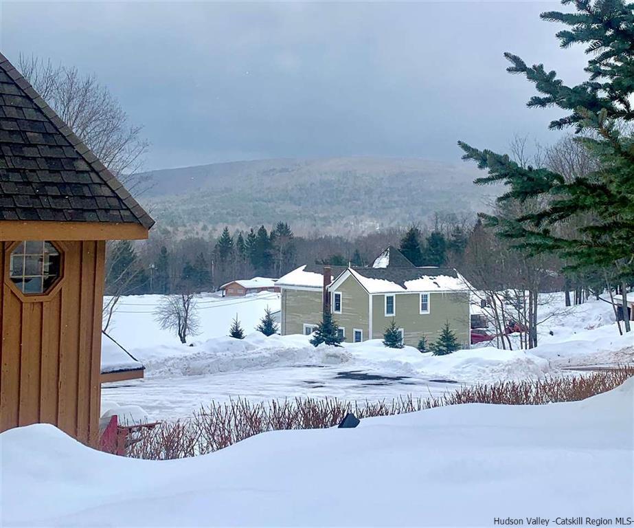218 NY-296, Windham, NY for Sale