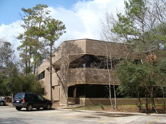 The Woodlands, TX Retail - 10655 Six Pines Dr The Woodlands, TX Retail - 10655 Six Pines Dr