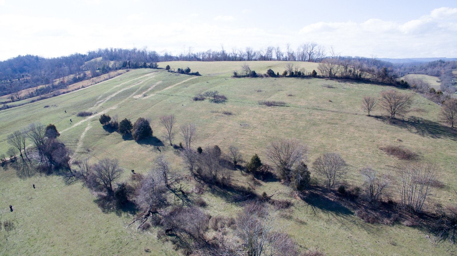 1423 Summerville Rd, Kingsport, TN for Sale