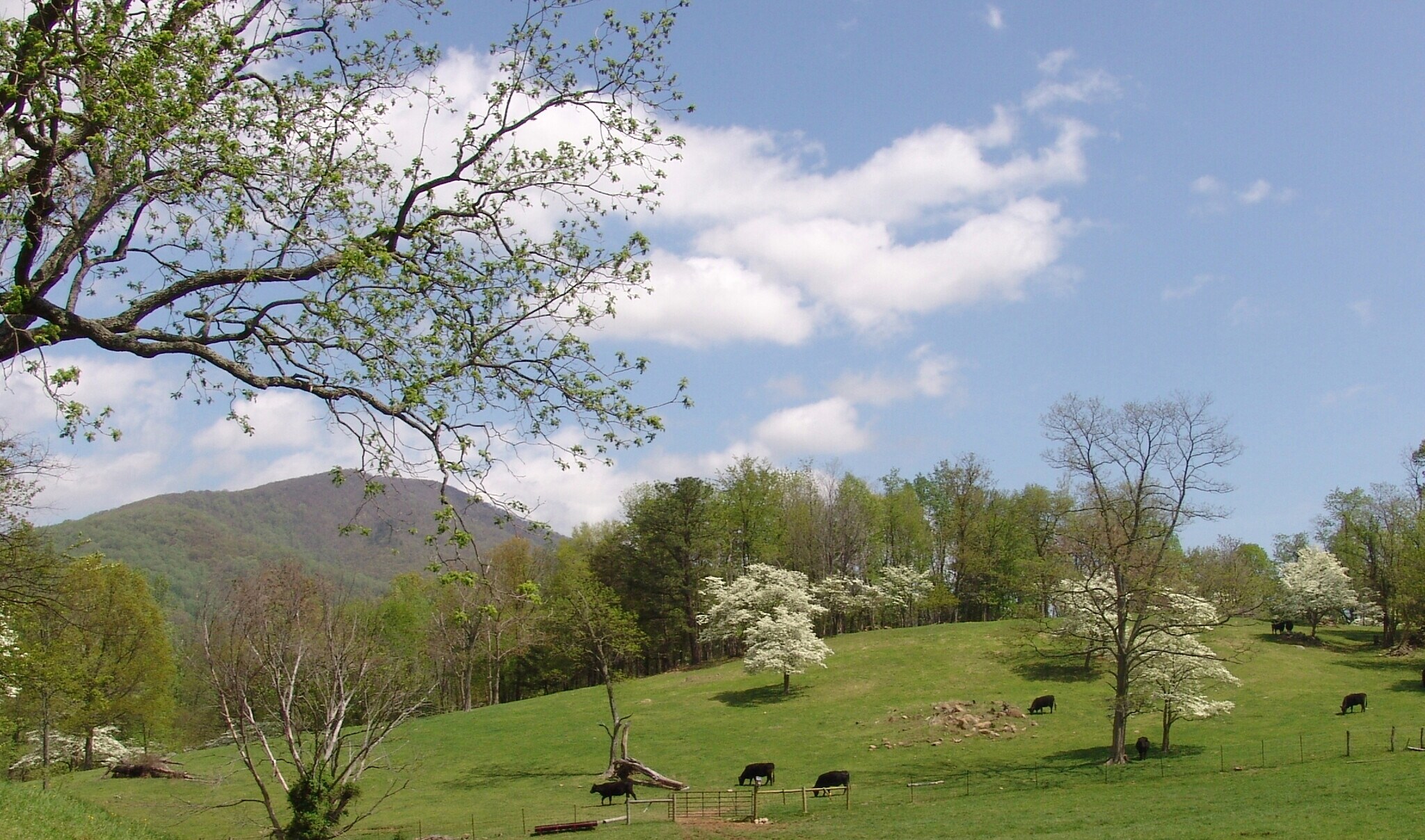 Near Little Washington Virginia, Washington, VA for Sale