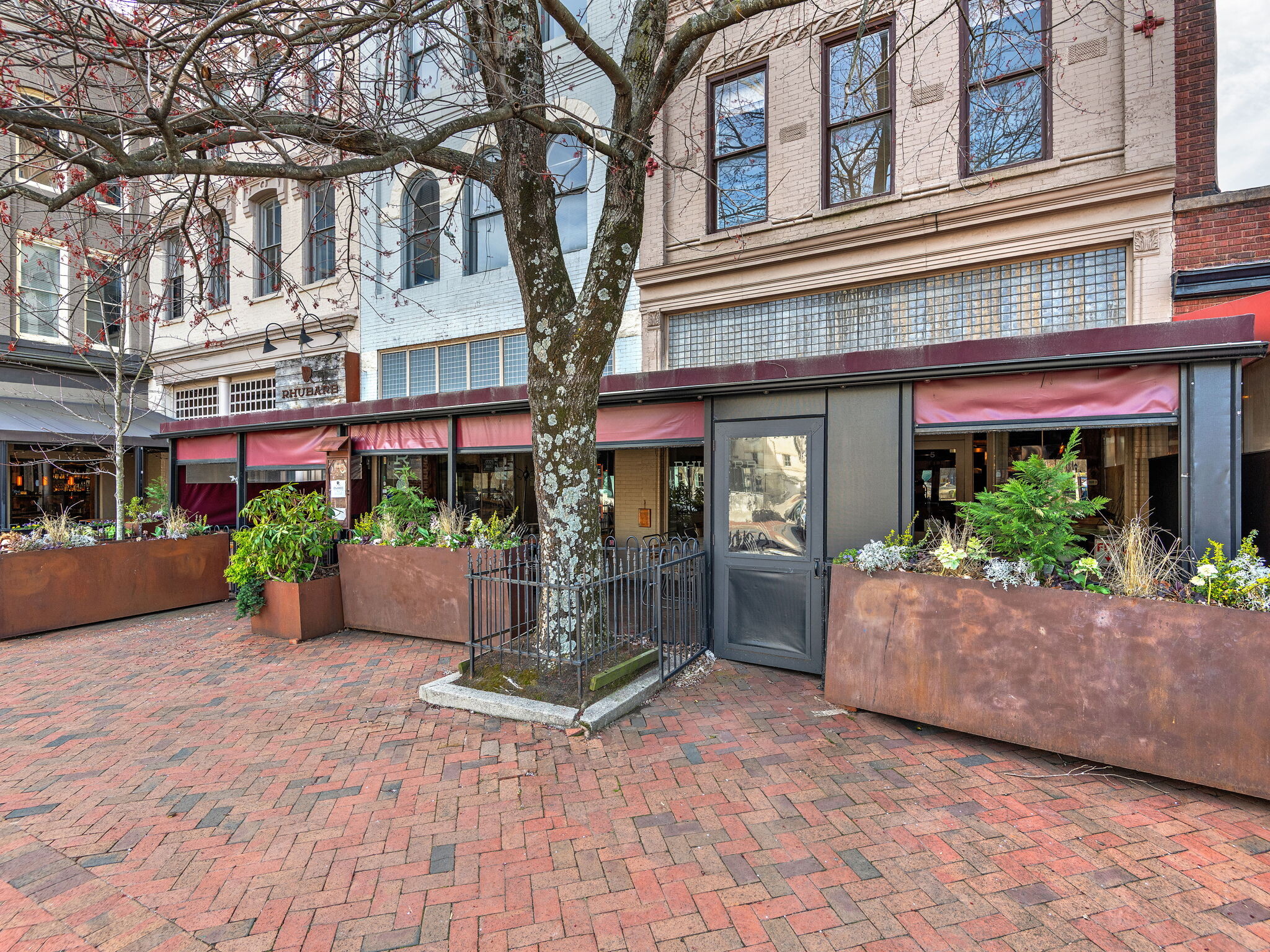 7 SW Pack Sq, Asheville, NC for Rent