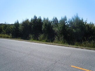 Fair Bluff, NC Commercial - Near 10547 Andrew Jackson Highway SW Rd