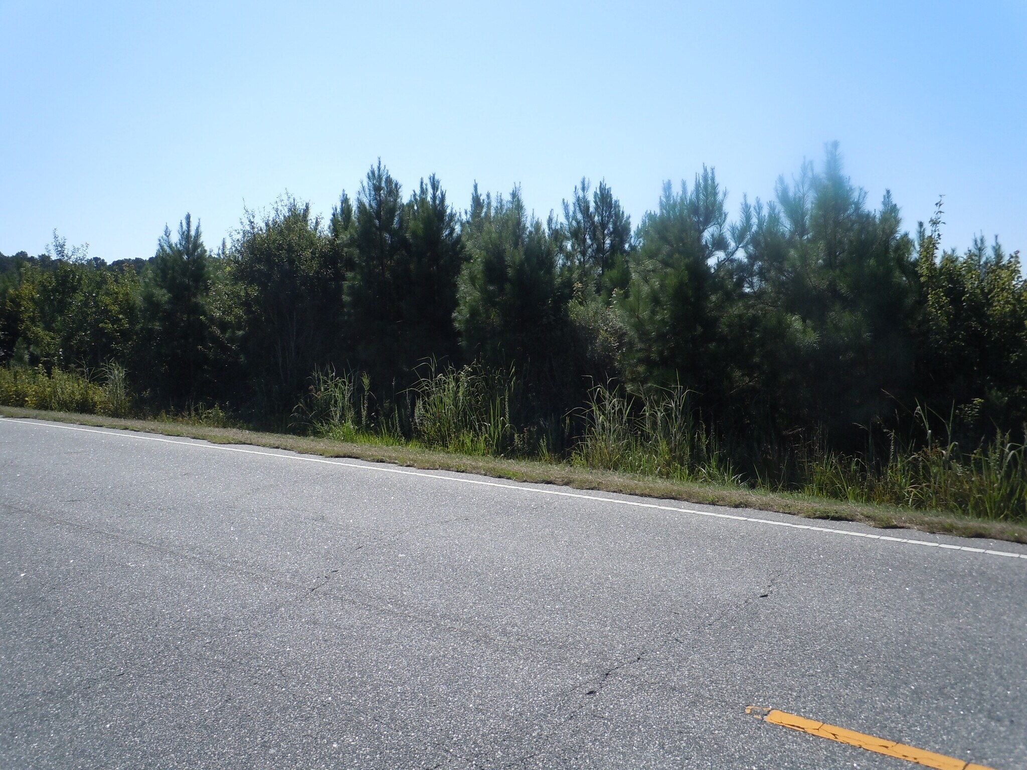 Near 10547 Andrew Jackson Highway SW Rd, Fair Bluff, NC for Sale