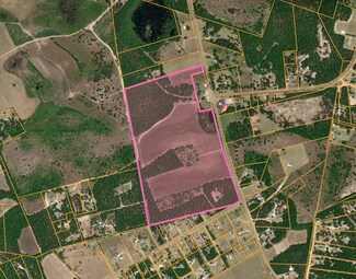 Pelion, SC Commercial - 0 Highway 6