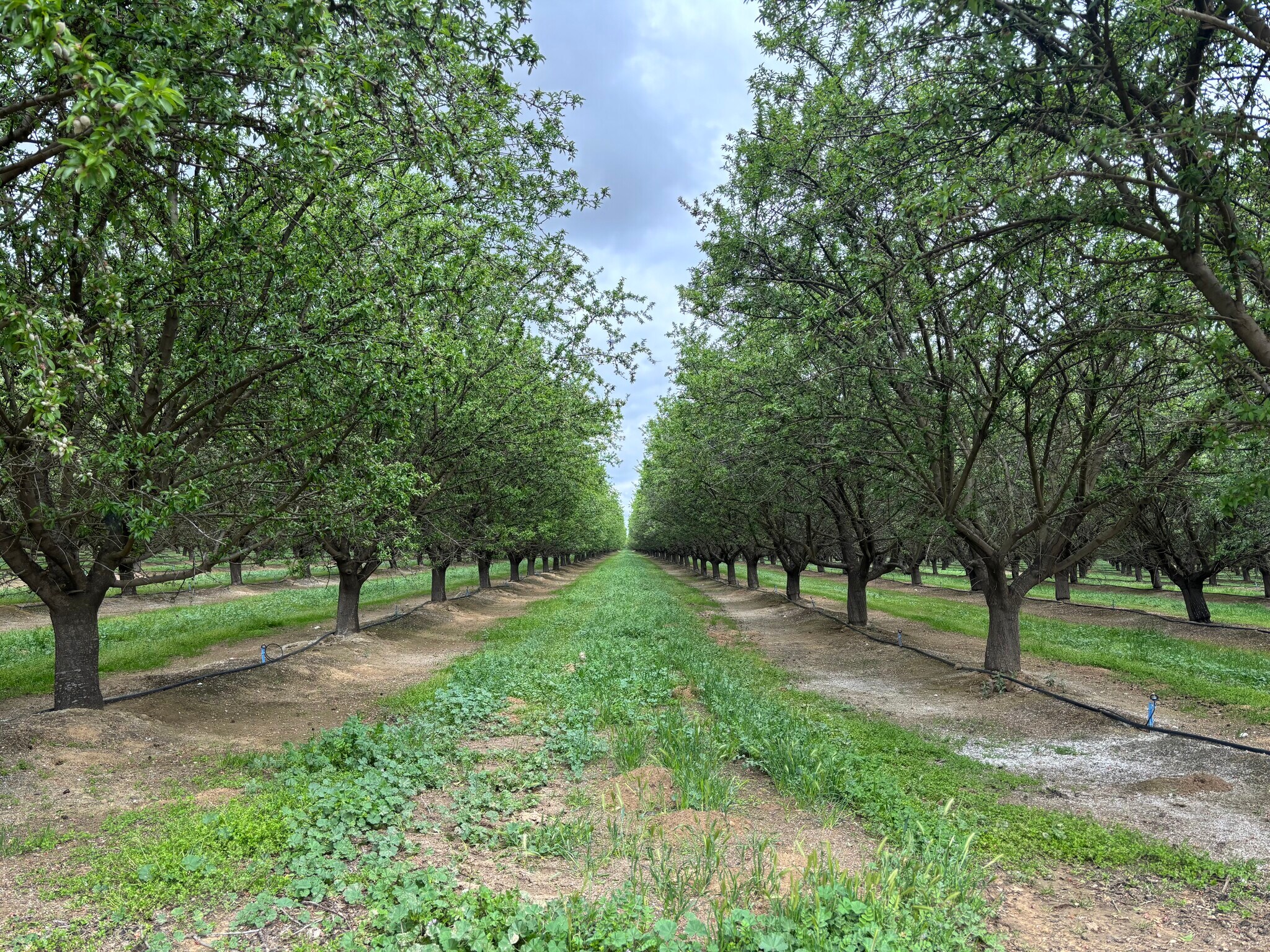 Snow Road, Bakersfield, CA for Sale