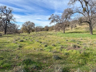 Bakersfield, CA Agricultural - 31700 Rancheria Rd