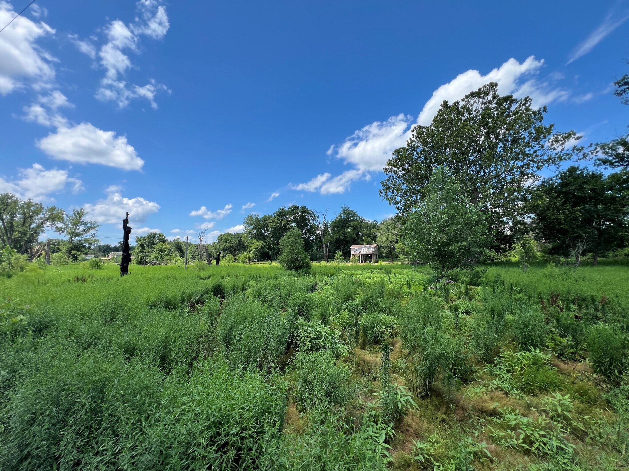 North River Road (Lot 5 - .346+/- Acres), Elsberry, MO for Sale