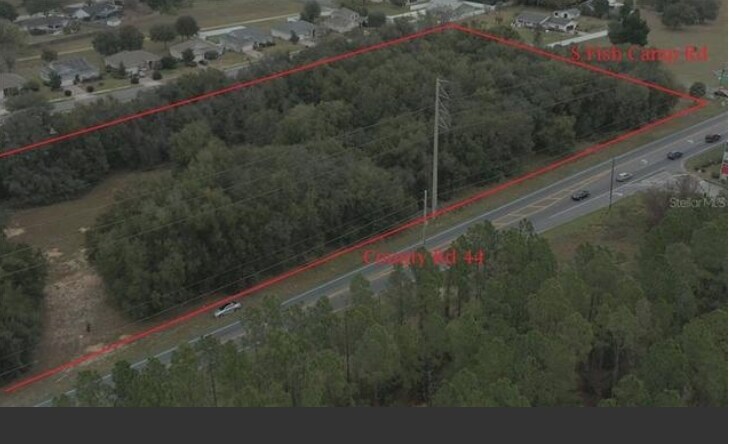 36635 South Fish Camp Rd, Grand Island, FL for Sale