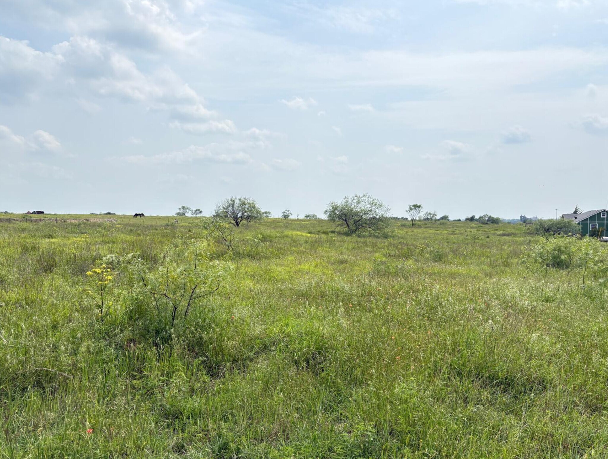 TBD County Road 215, Coolidge, TX for Sale