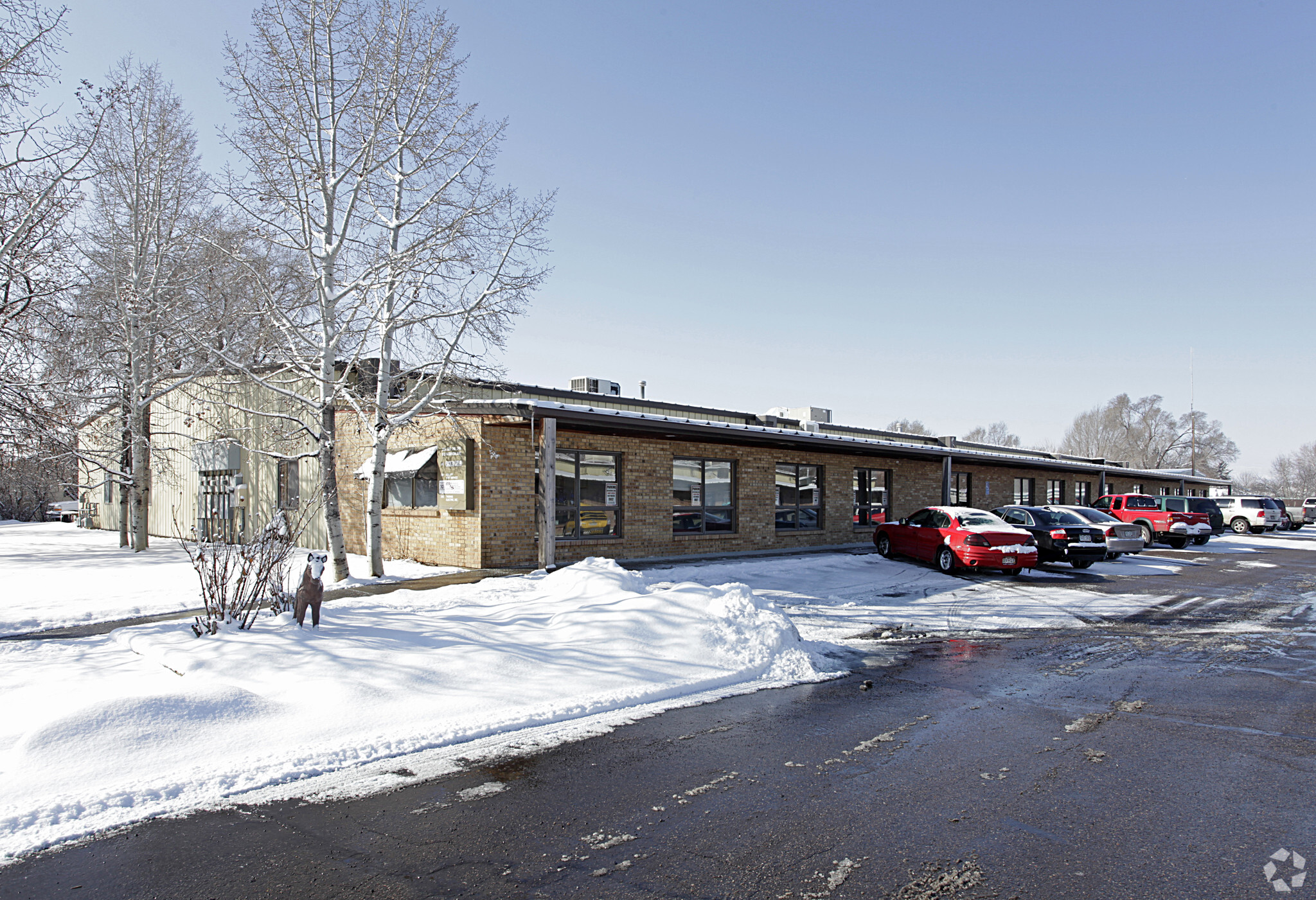225-243 S Madison Ave, Loveland, CO for Rent